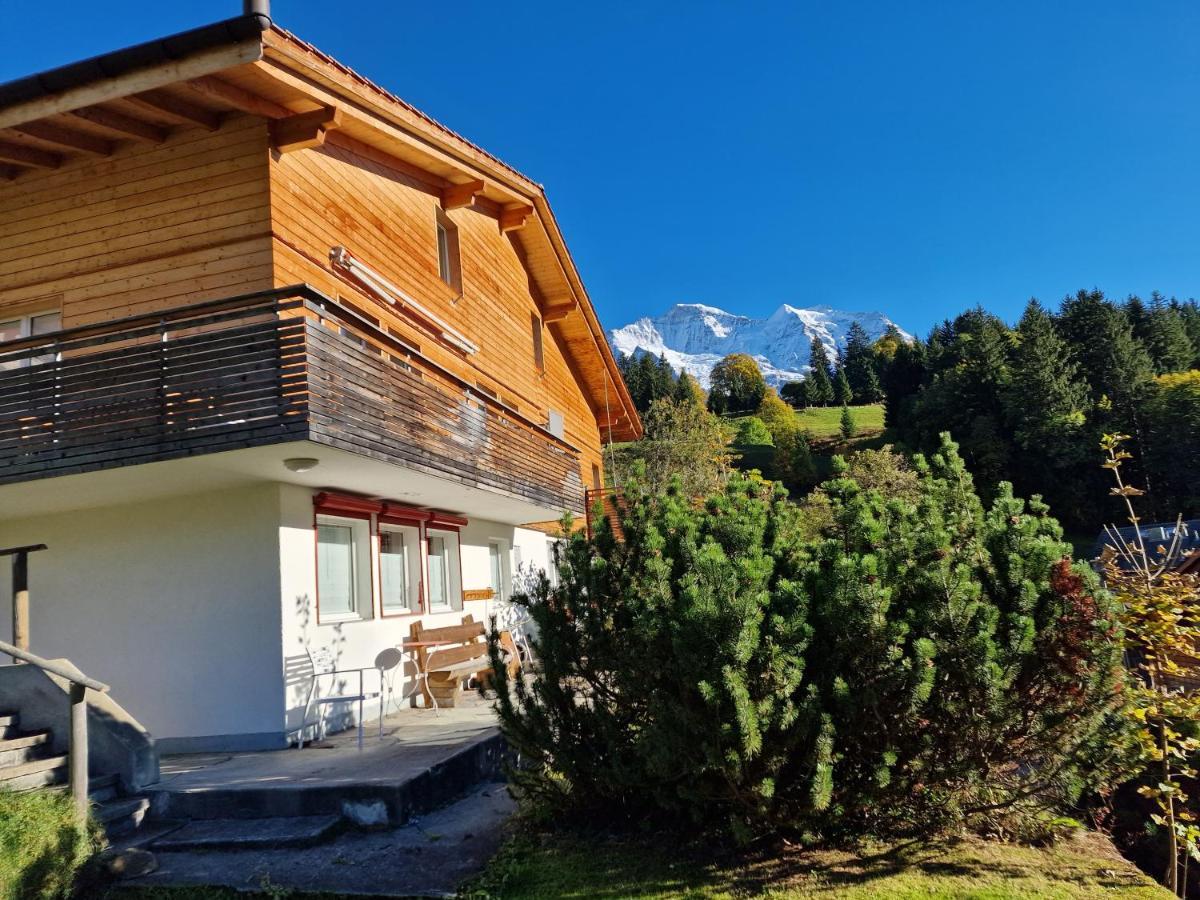 Chalet Viola - Verena's Loft Wengen Bagian luar foto