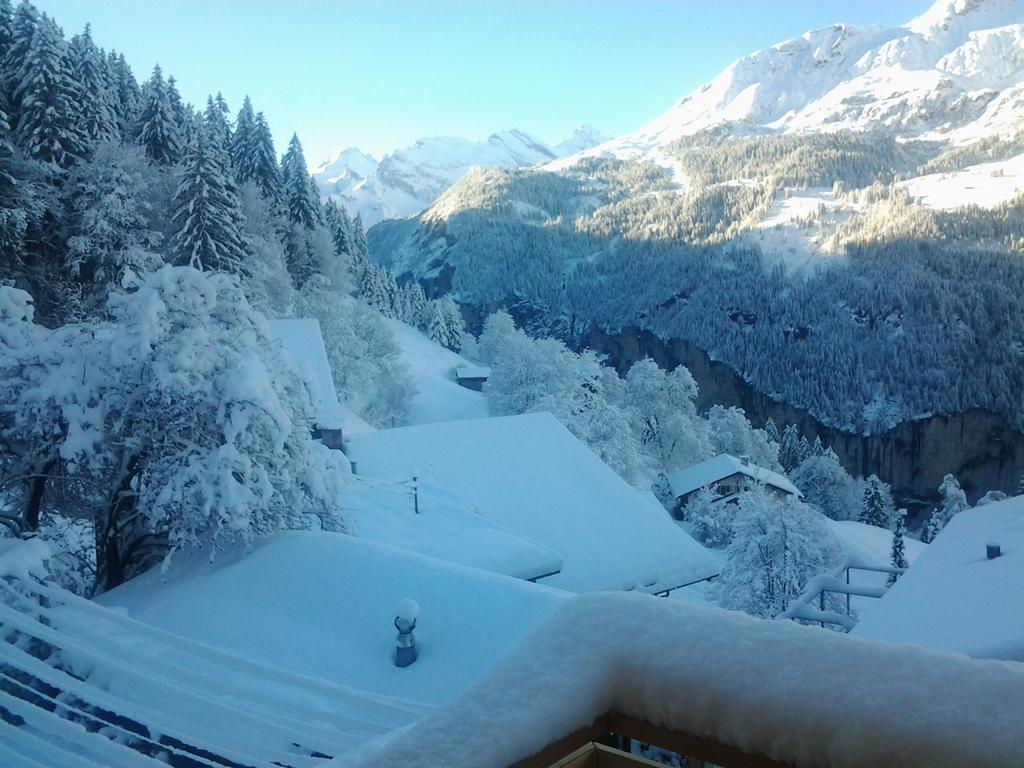 Chalet Viola - Verena's Loft Wengen Bagian luar foto