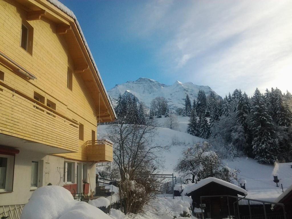 Chalet Viola - Verena's Loft Wengen Bagian luar foto